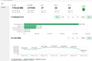寶塔網站基礎統計